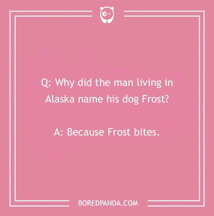 128 Dog Jokes That Might Make You Howl With Laughter