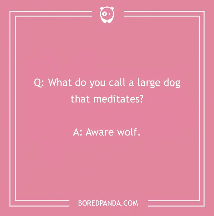 128 Dog Jokes That Might Make You Howl With Laughter