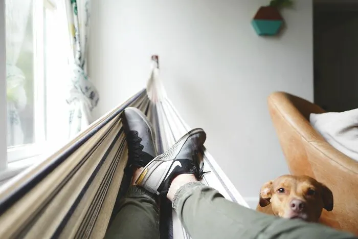 30 Lies About America That People Are Honestly Sick Of Hearing