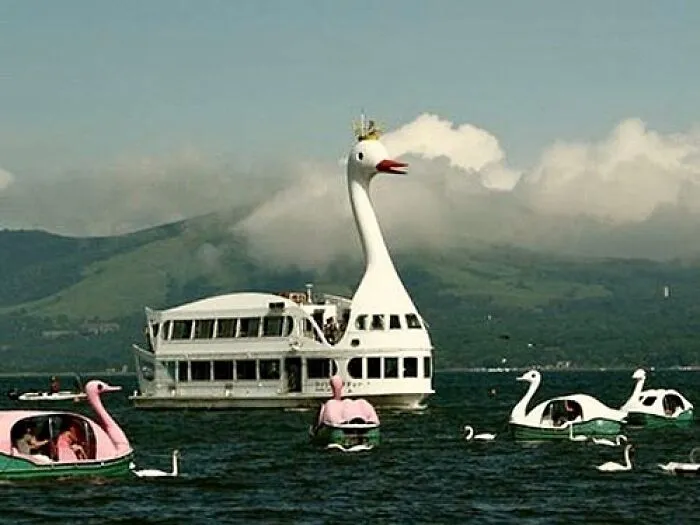 Just A Swan And Her Duckies