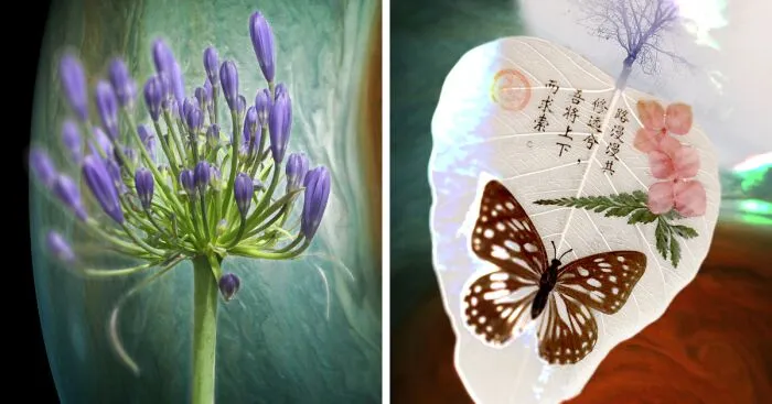 "Well, Why Not A Space Flower? Why Do We Always Expect Metal Ships?": A Collection Of Photo Collages From The Wildflowers' Movement Support Group