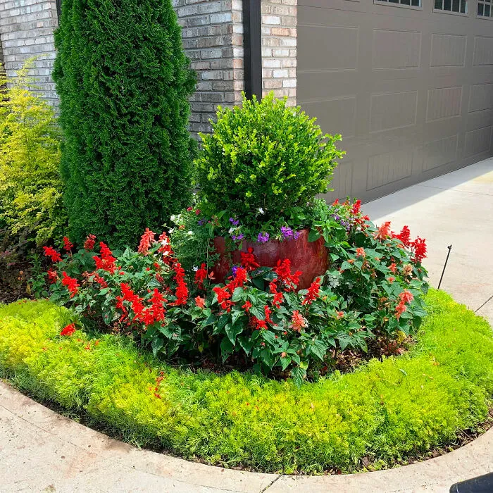 Flower Bed Edging Using Plants