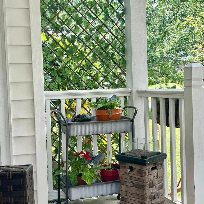 Porch with trellis and plants