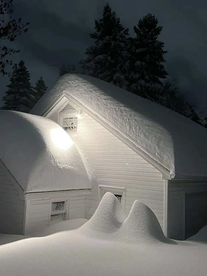 Freshly Fallen Snow