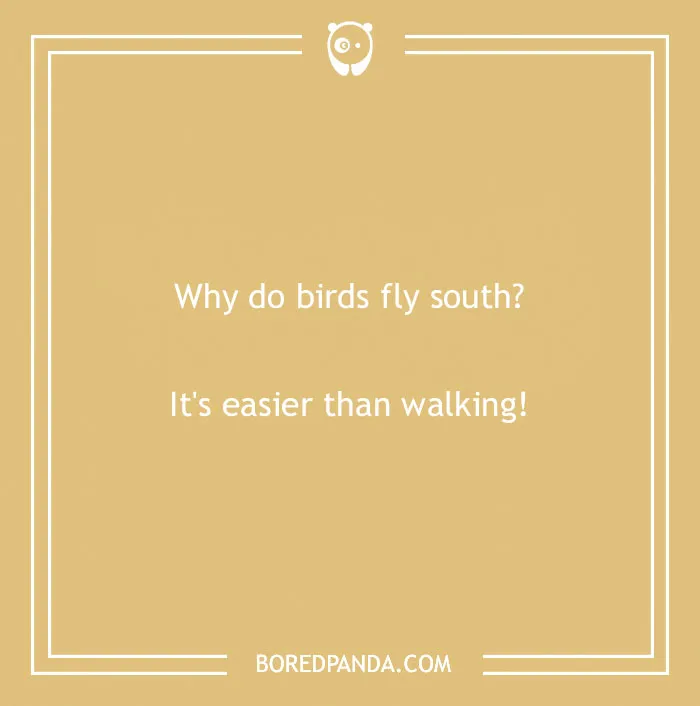 Text joke on a beige background: "Why do birds fly south? It's easier than walking!"