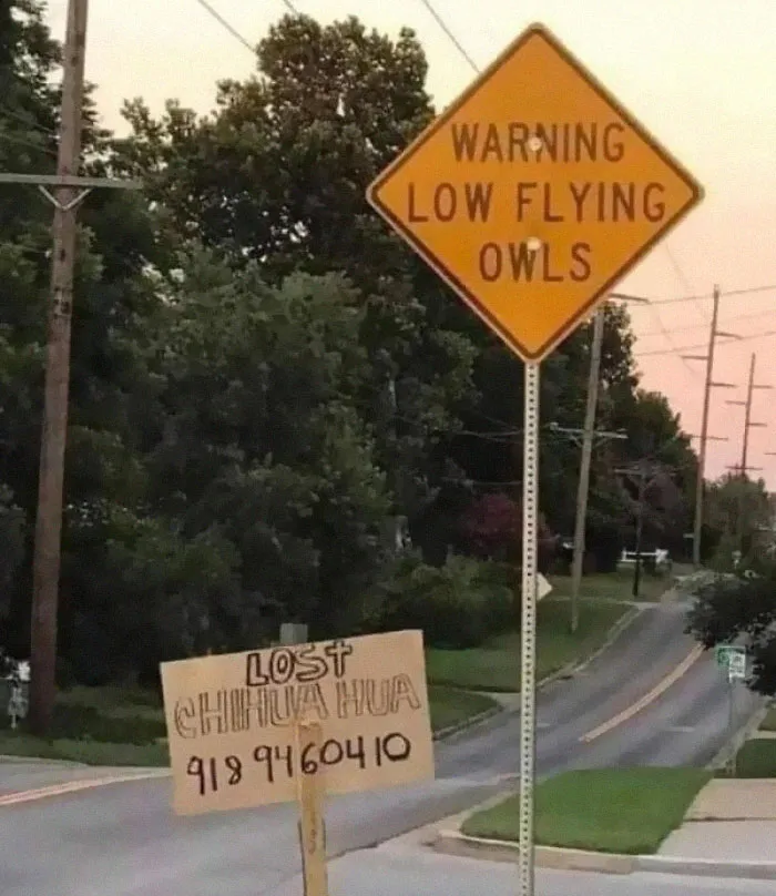 50 Times Signs Had No Right To Be This Funny, As Shared In This Facebook Group