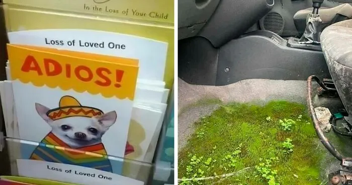 “Some Images” That Need No Context Whatsoever To Be Hilarious, As Seen On This FB Page