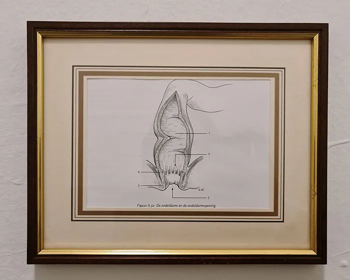 My Boyfriend Asked Me To Find Art To Hang Above The Toilet