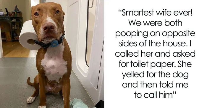 50 Hilarious Girlfriends And Wives Who Never Fail To Make Their Partners Laugh (New Pics)
