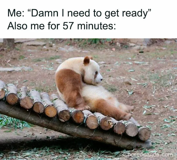 50 Animal Pics That Fit Perfectly Into Memes