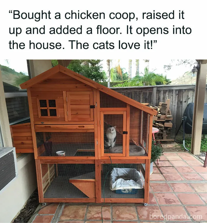 Your Daily Dose Of Kitty Content, Courtesy Of 'Cattos Being Cattos' (50 Posts)