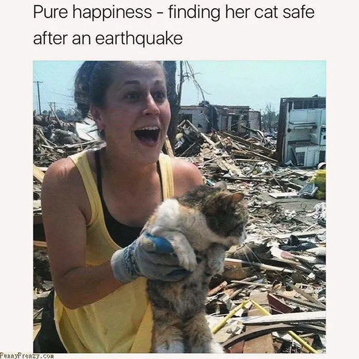 Your Daily Dose Of Kitty Content, Courtesy Of 'Cattos Being Cattos' (50 Posts)