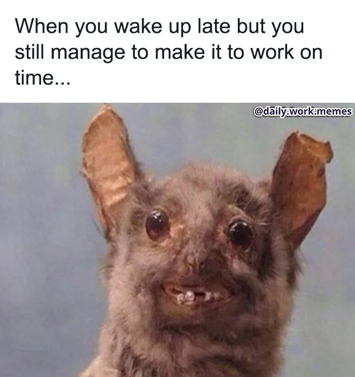 45 Funny And Relatable Memes To Help You Get Through The Work Day