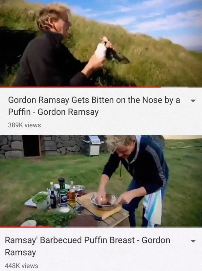 Don’t Mess With Gordon