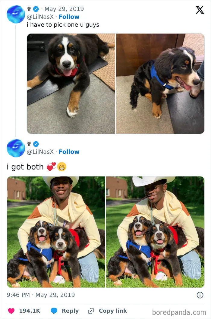Wholesome Arc