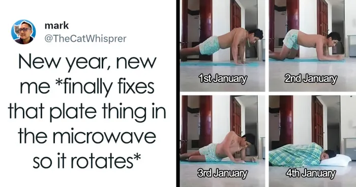 30 Hilariously Accurate Tweets About New Year's Resolutions