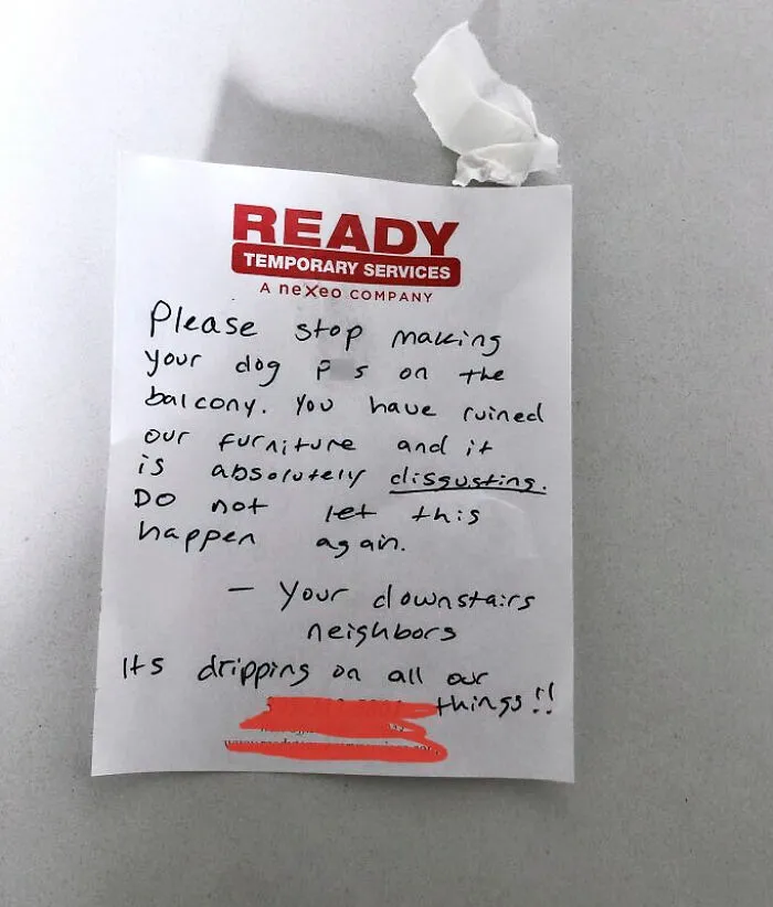So It Rained Yesterday And I Got This Friendly Note Blaming My Dog For The Rain. Hung With A Command Strip With The Pull Tab Cut-Off