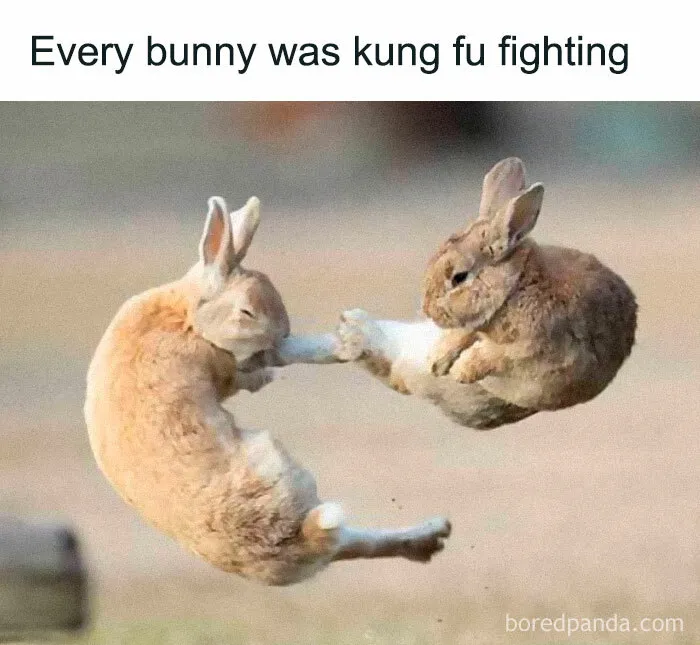 50 Times This Page Shared The Punniest Memes The Internet Has Ever Seen (New Pics)