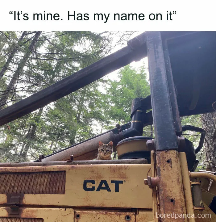 50 Times This Page Shared The Punniest Memes The Internet Has Ever Seen (New Pics)