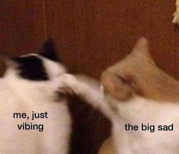 Here’s An Instagram Page Dedicated To Memes That Would Benefit From A Therapist’s Consult (50 New Memes)