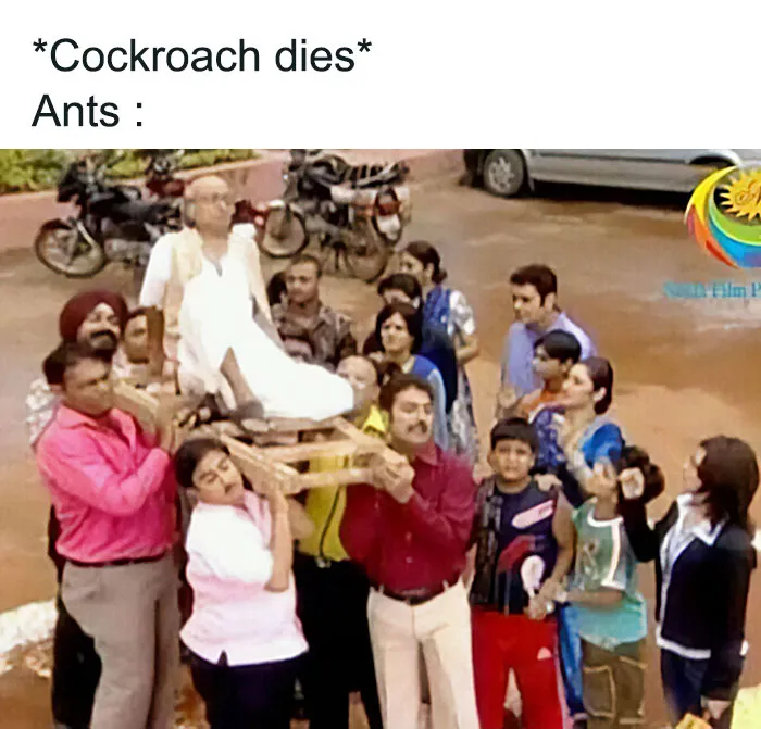 50 Hilariously Relatable ‘Brainy Memes’ To Remind You How You Got That Degree (New Pics)
