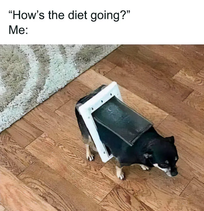 35 Funny And Relatable Memes To Help You Get Through One More Day Without A Nap