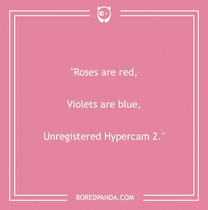 Funny "Roses Are Red" poem on a pink background from Bored Panda with humorous twist ending about Hypercam.