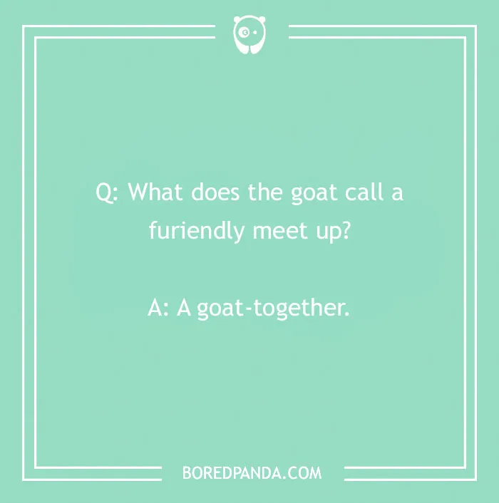 140 Of Simply Maaa-rvelous Goat Puns