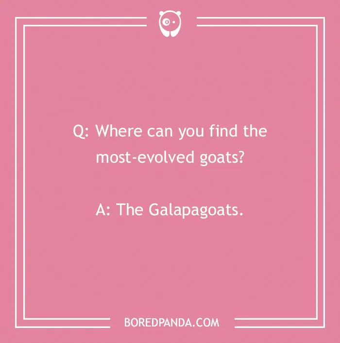 140 Of Simply Maaa-rvelous Goat Puns