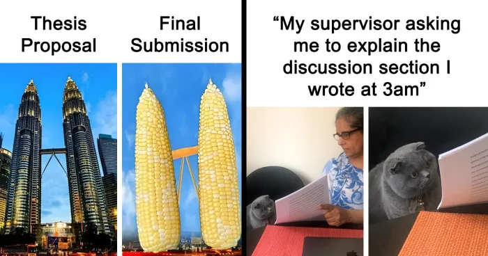 “I Made This One With My Tears”: 27 Memes That Perfectly Summarize What It’s Like To Be In Grad School