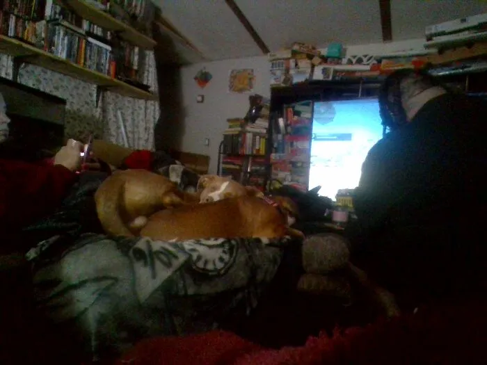 Posey And Pooper
