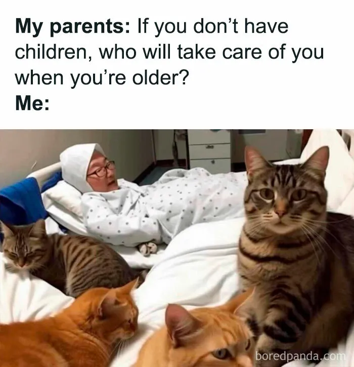 Patient in bed surrounded by three attentive cats, highlighting their role in caring, perfect for cat memes.