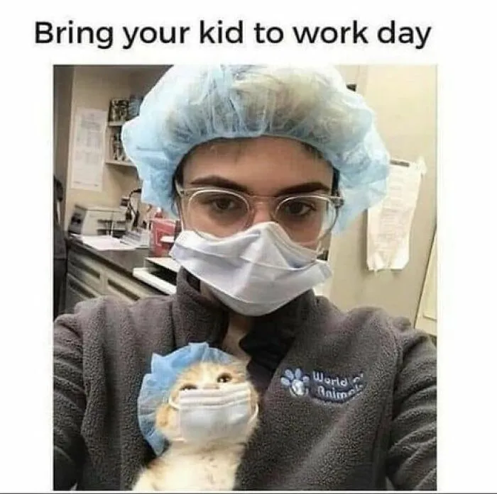Person in scrubs with kitten, both in masks; humorous cat meme.