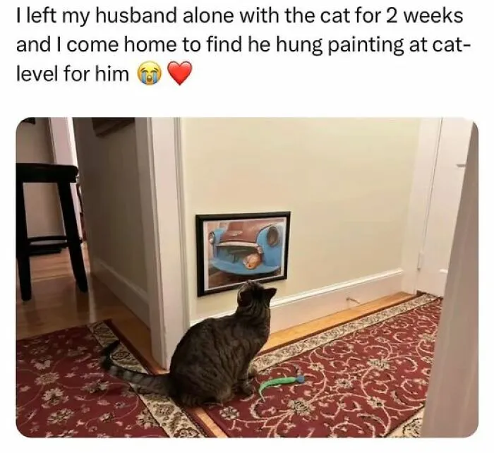 Cat meme: A cat sits on a rug, looking at a low-hung painting, creating a humorous scene.