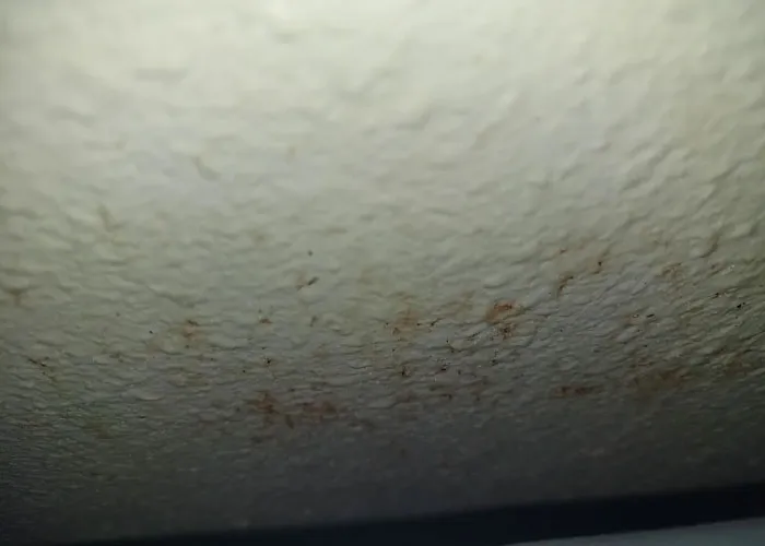 “These Mean Bedbugs”: People Reveal 30 Red Flags In Hotels That All Travelers Should Know