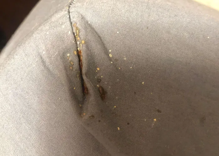 “These Mean Bedbugs”: People Reveal 30 Red Flags In Hotels That All Travelers Should Know