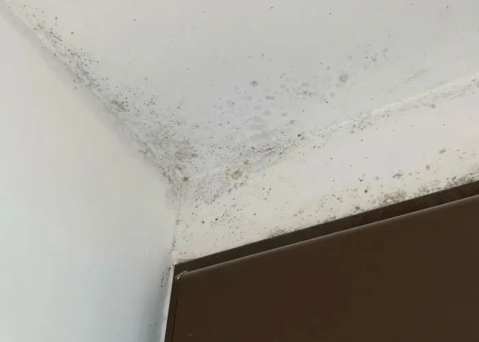 “These Mean Bedbugs”: People Reveal 30 Red Flags In Hotels That All Travelers Should Know