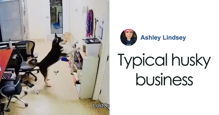 Police Makes “The Cutest Arrest Ever” After Dog Escapes Shelter And Tries To Free His Friends