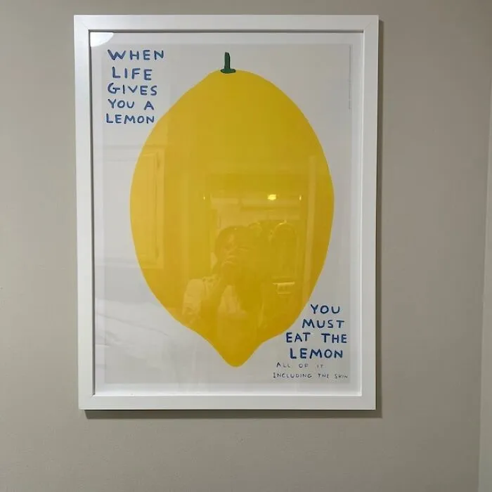 Let This Genuine Slice Of Shrigley’s Wit Turn Sour Moments Sweeter—one Citrusy Chuckle At A Time Because Life's A Lemon And Then You Hang Art.