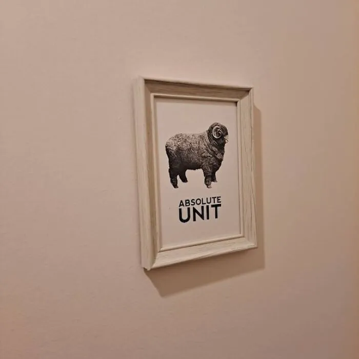 Behold The Bounteous Behemoth (That Is, Just Like It Says, An Absolute Unit) That'll Have Guests Bleating With Admiration. No Grazing Over This Piece; It's A Conversation Shepherd's Dream!