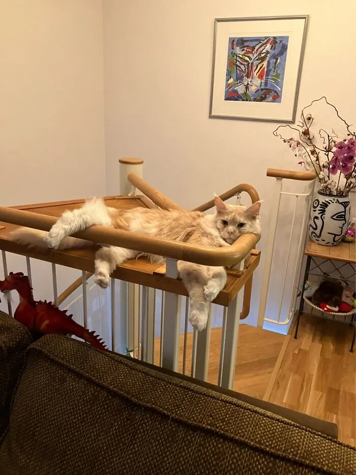 Sooo Comfortable