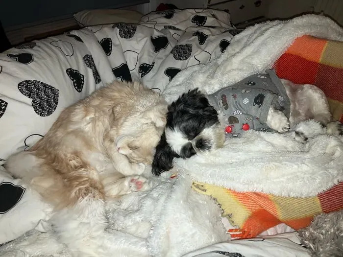 Best Friend