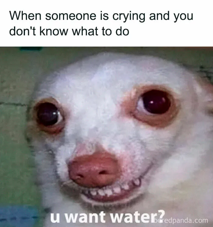 Funny introvert meme with a dog's awkward smile and text: "When someone is crying and you don't know what to do. u want water?"