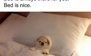 50 Absolutely Spot-On Introvert Memes To Make You Snicker