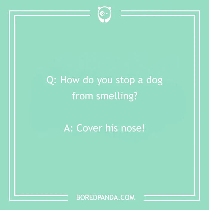 Dog joke: "How do you stop a dog from smelling? Cover his nose!" on a mint green background.
