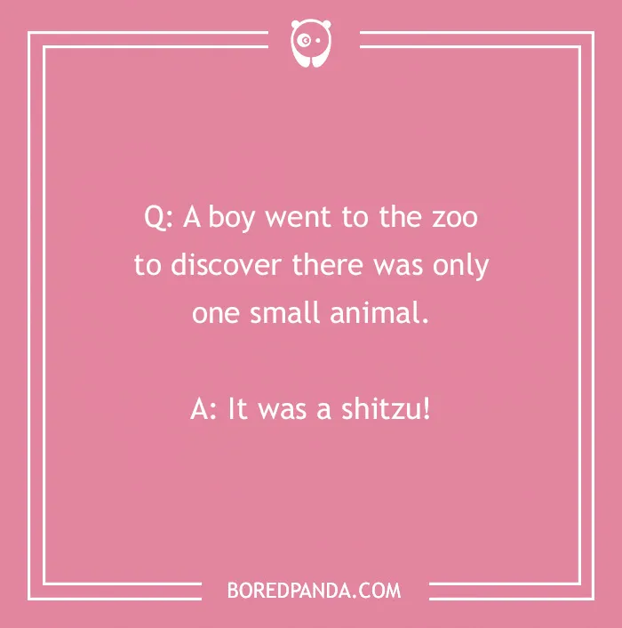 Text graphic with a dog joke: "Q: A boy went to the zoo... A: It was a shitzu!" Pink background with white border.