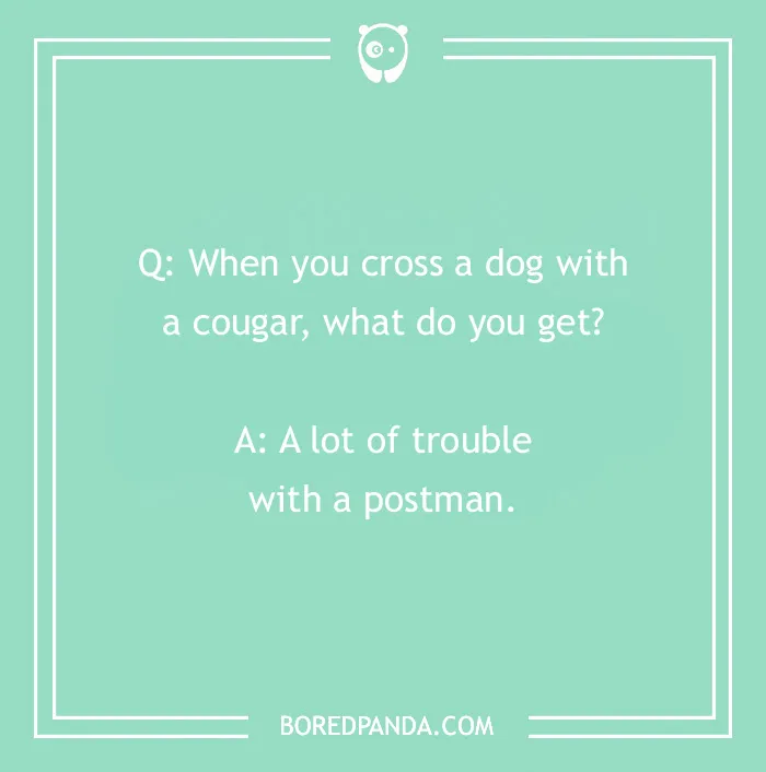 Tons Of Jokes About Dogs To Share With Your Good Boi Or Gal