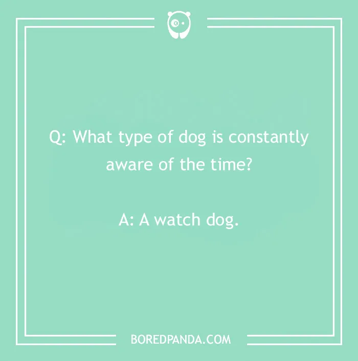 Dog joke about a "watch dog" on a green background from BoredPanda.