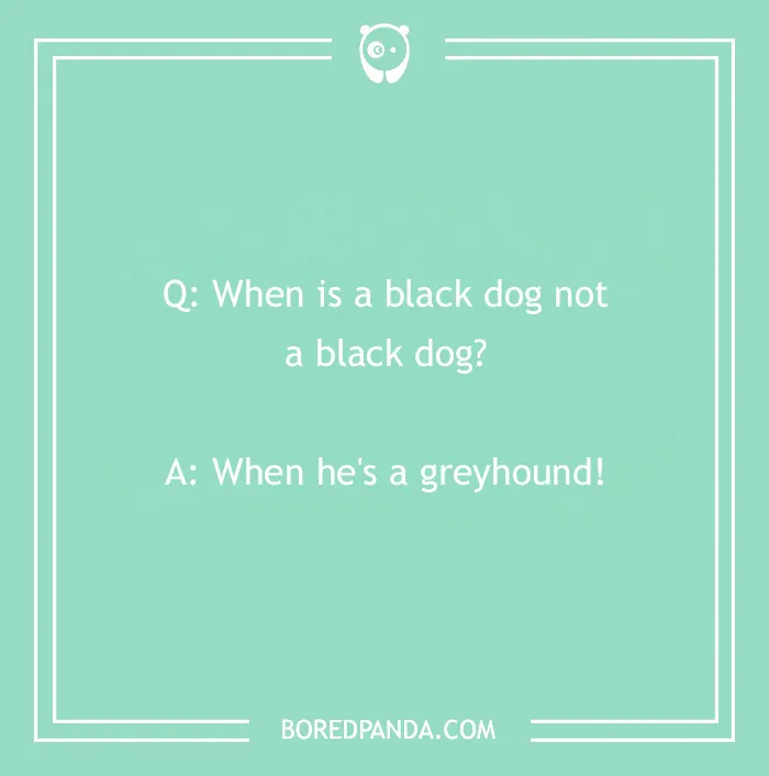 Dog joke on green background: "Q: When is a black dog not a black dog? A: When he's a greyhound!"