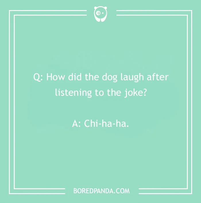 Dog joke with punchline "Chi-ha-ha" on a green background from BoredPanda.